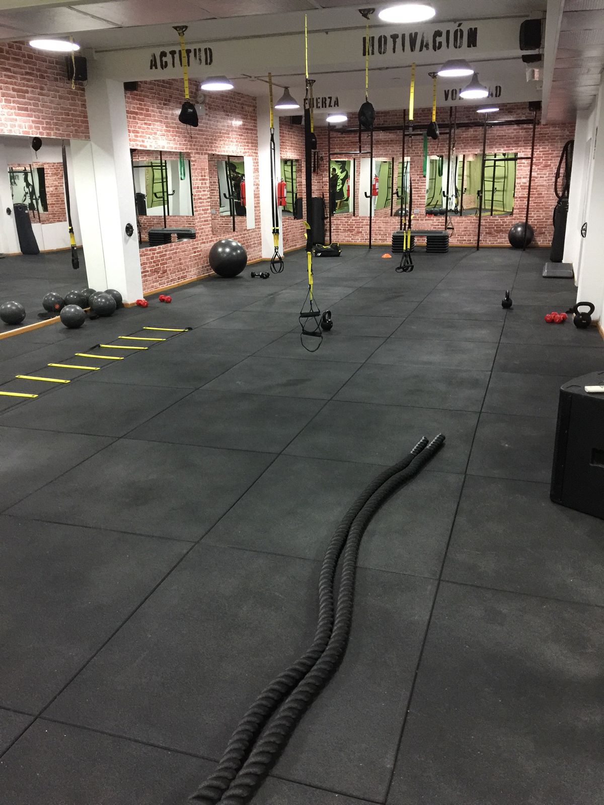 Budget-Friendly Gym Interior Design Tips for New Fitness Centers